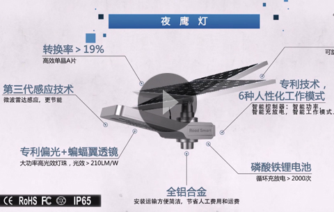 揚帆燈視頻